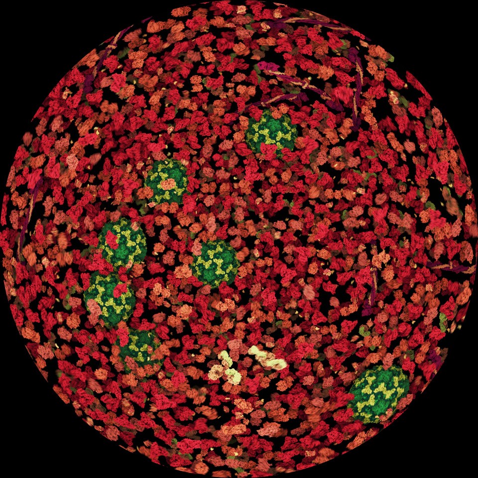 Visualization of molecules